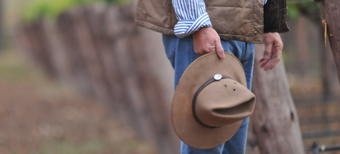 Man holding hat in vineyard 